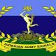 nigerian army signa