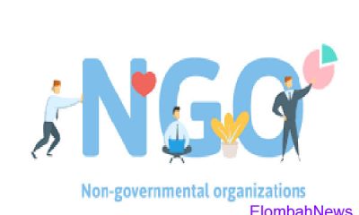 NON GOVERNMENTAL ORGANIZATION