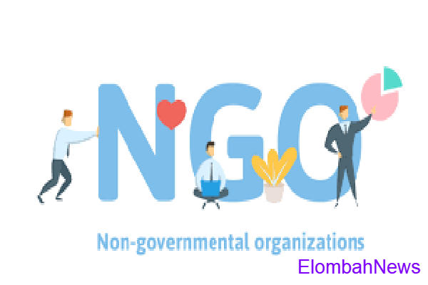 NON GOVERNMENTAL ORGANIZATION