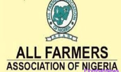 All Farmers Association of Nigeria