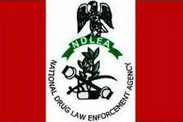 National Drug Law Enforcement Agency (NDLEA)