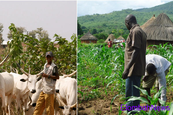farmers and herders