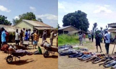 Terrorist Fulani herdsmen kill over 36 people in Katsina Ala, Benue State