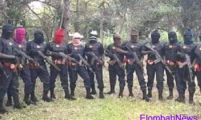 Ebubeagu