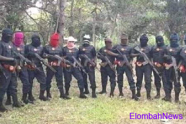 Ebubeagu