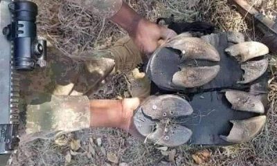 Shoes worn by bandits, herdsmen made with cow hooves to deceive security agents