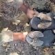 Shoes worn by bandits, herdsmen made with cow hooves to deceive security agents