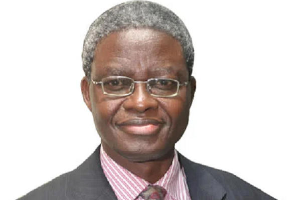 Ex-Director-General of the Nigerian Institute of International Affairs (NIIA), Prof Bola Akinterinwa