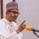 Former President Muhammadu Buhari