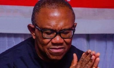 Labour Party (LP) presidential candidate, Peter Gregory Onwubuasi Obi