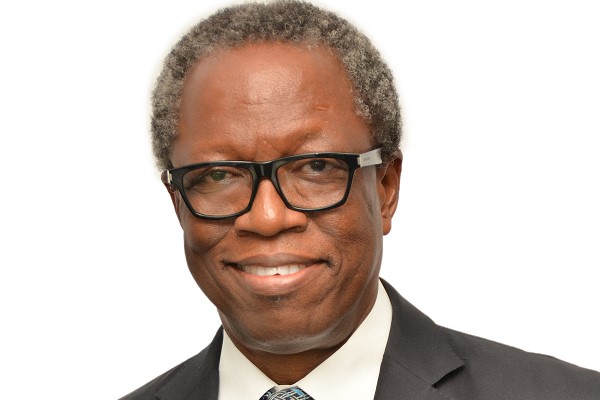Former President of the Nigerian Bar Association (NBA), Okey Wali, SAN