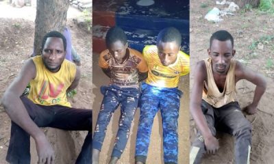 Bandits, terrorists