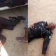 Two police officers killed by gunmen