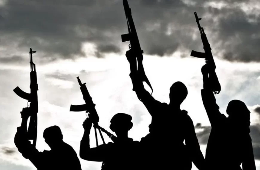Unknown gunmen kill police officers