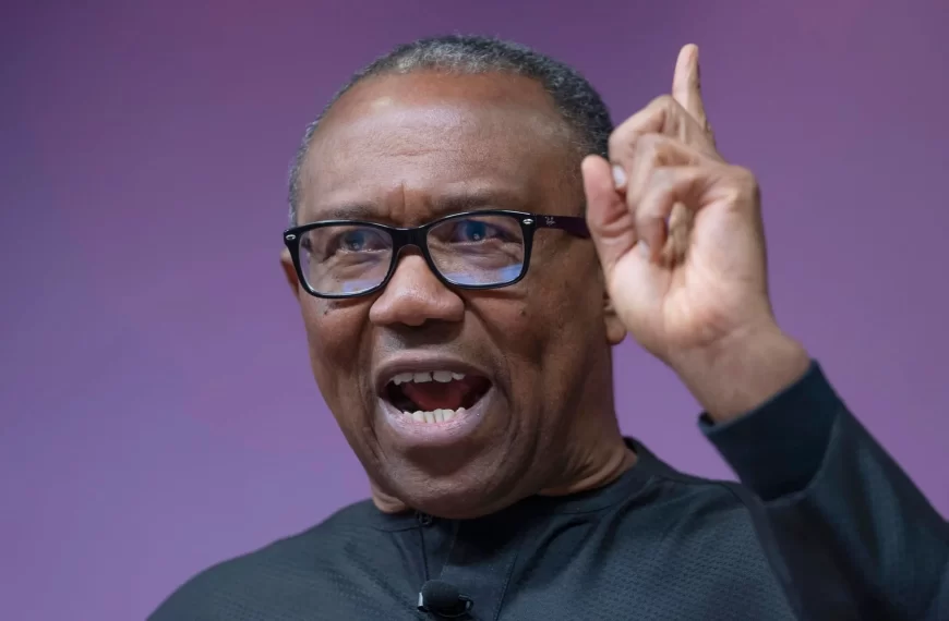Labour Party presidential candidate, Mr. Peter Obi