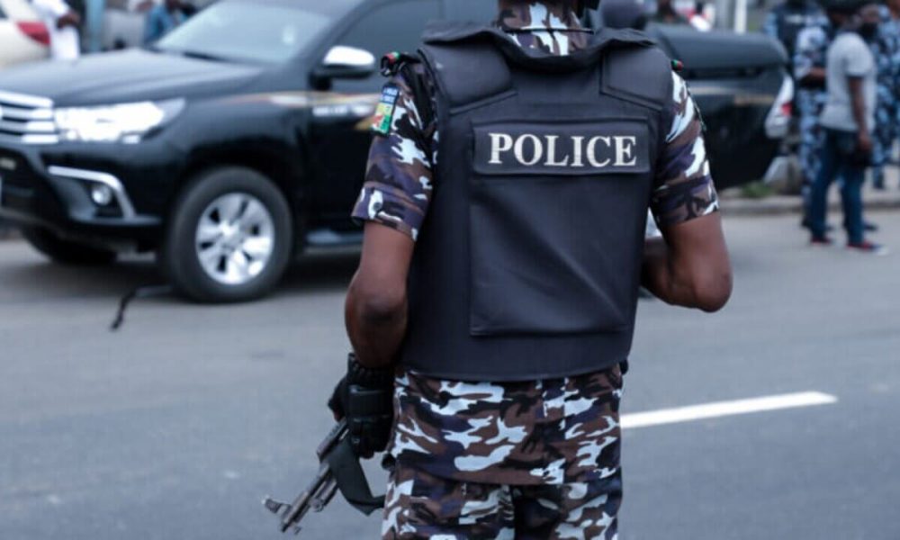 Police Discover 350 AK-47 In A Poultry Farm In Niger State