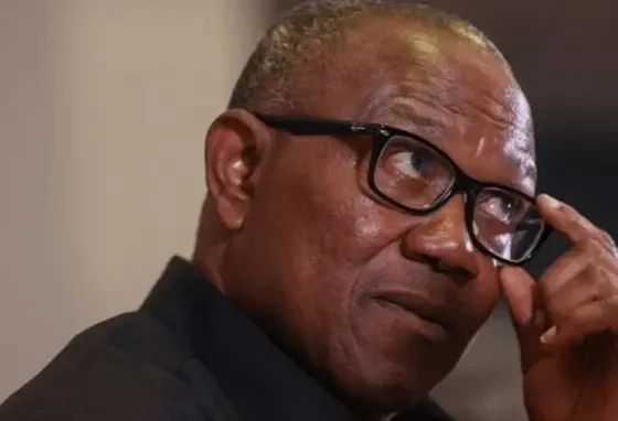 Labour Party presidential candidate, Mr. Peter Obi