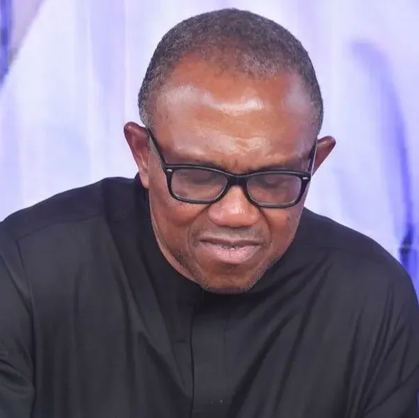 Labour Party presidential candidate, Mr. Peter Obi