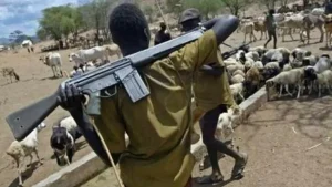 Herdsmen benue