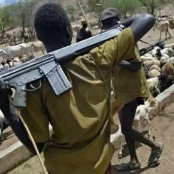 Herdsmen benue