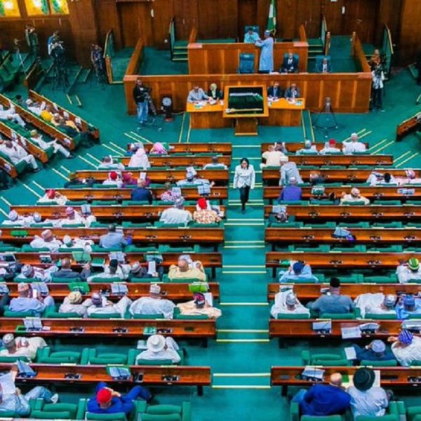Reps react after ₦1.3 trillion crypto scam ruins lives