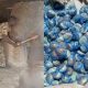 Troops raid ISWAP bread factory in Borno