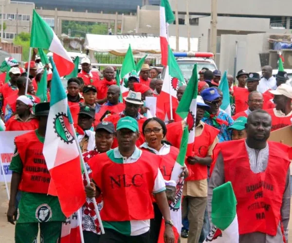 NLC writes INEC, plans surprise takeover of LP party secretaries