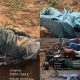 Terrorists eliminated by soldiers in Kaduna