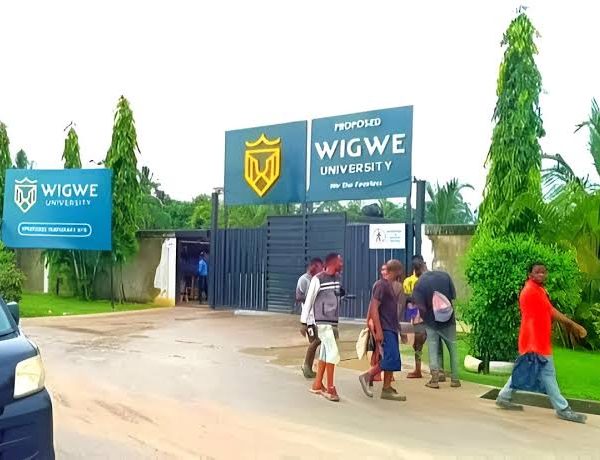 Wigwe University: a vision we must nurture, By Etim Etim