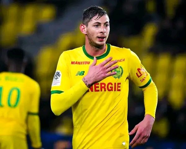 Cardiff City seeks $120m compensation for ill-fated Sala transfer
