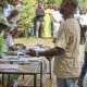 Two Igbo don win Plateau State Local Council elections