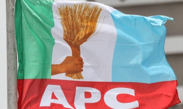 APC flag