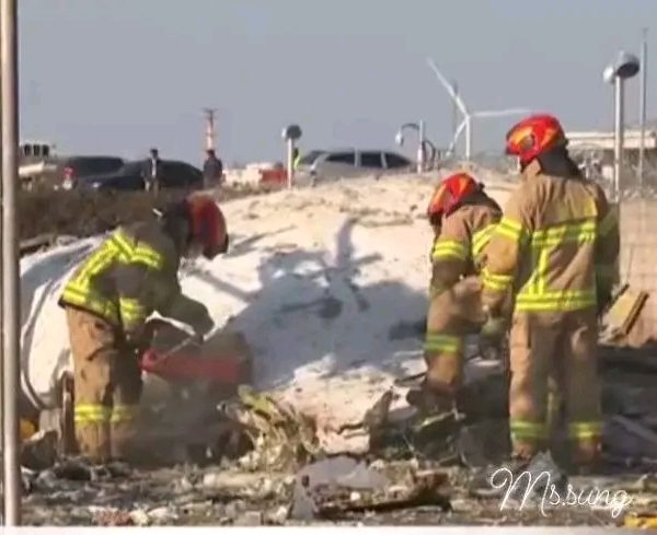 Plane crash kills 181 crew members, passengers in South Korea