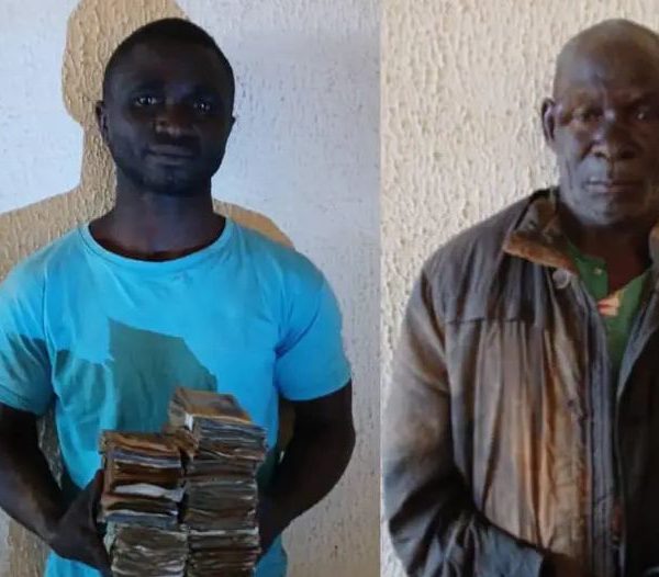 Nigeria Army cracks down on gunrunners