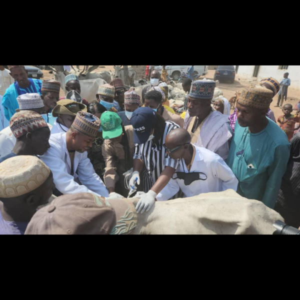 Kwara Government launches state-wide Anthrax vaccination for food security