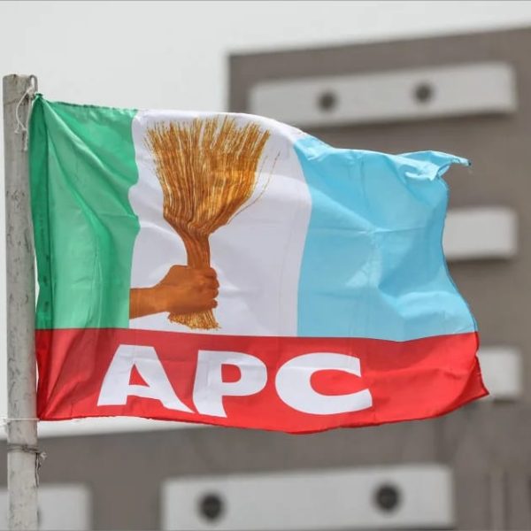 Court Sacks APC Chairman