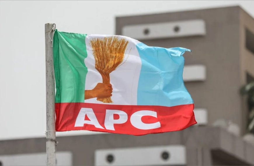 Court Sacks APC Chairman