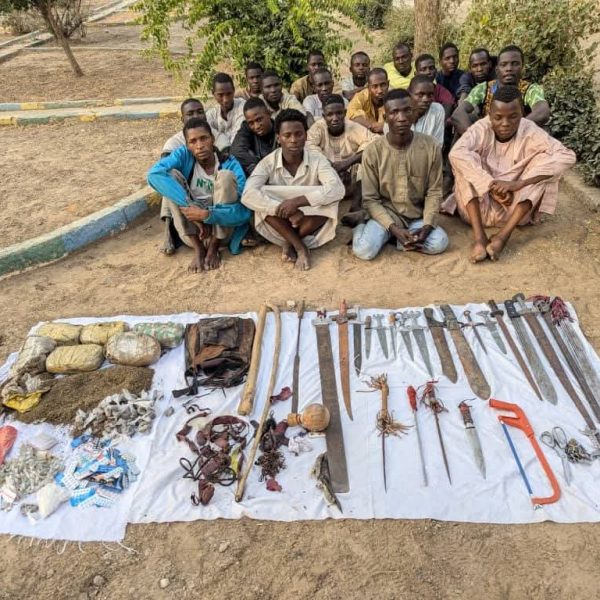 Kano State Police Command cracks down on thuggery, arrests 20 suspects