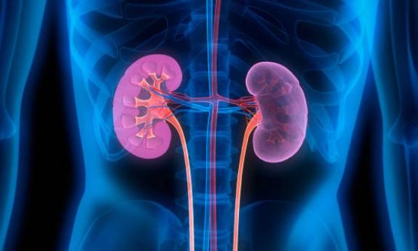 Health alert: Rising kidney disease rates and essential preventative measures