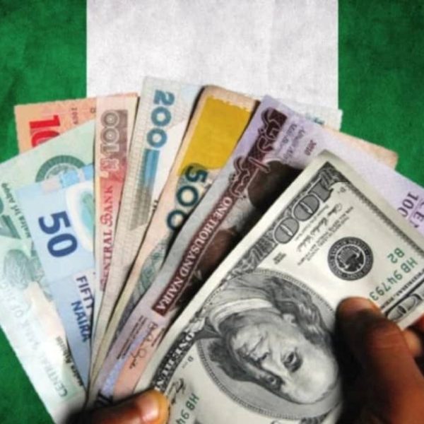 Naira: Its Collapse, Economic Implications and Remedy