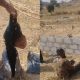 Gospel singer Timileyin Ajayi nabbed with girlfriend's severed head in Abuja