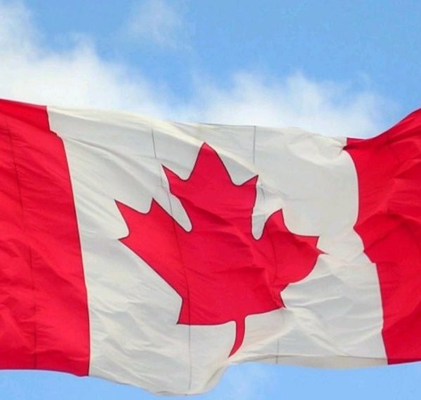 Nigeria students among those with highest absentee rates in Canada’s 2024 study permit program