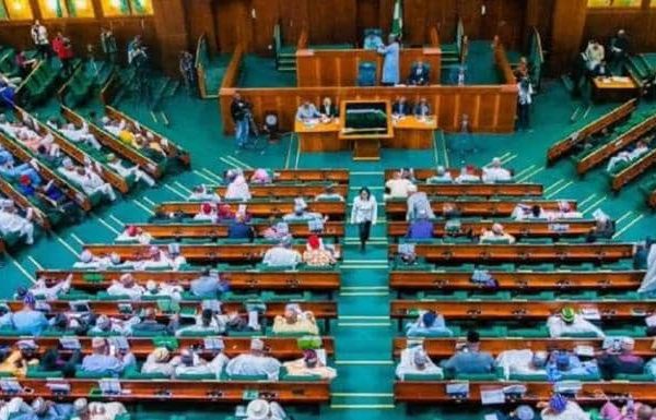 Fulata leads house probe into certificate racketeering in tertiary institutions
