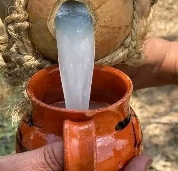 The sweet nectar of Africa: A toast to palm wine