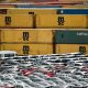 Germany refuses to give in to US. 25% car tariff