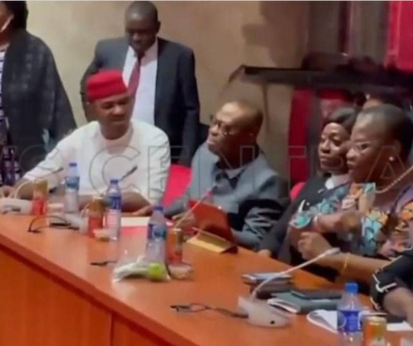 Senator Nwaebonyi insults Ezekwesili at senate hearing 