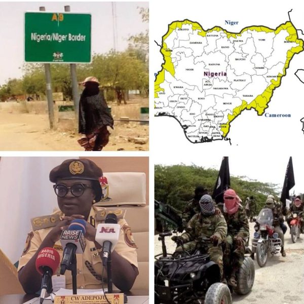 The Nigerian border crisis