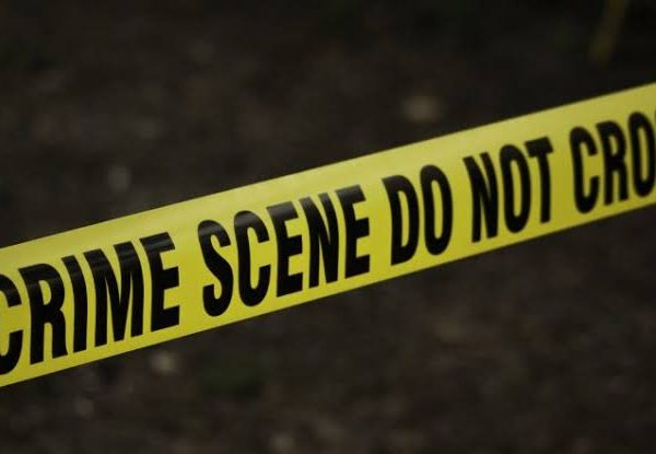 Father kills two sons, commits suicide
