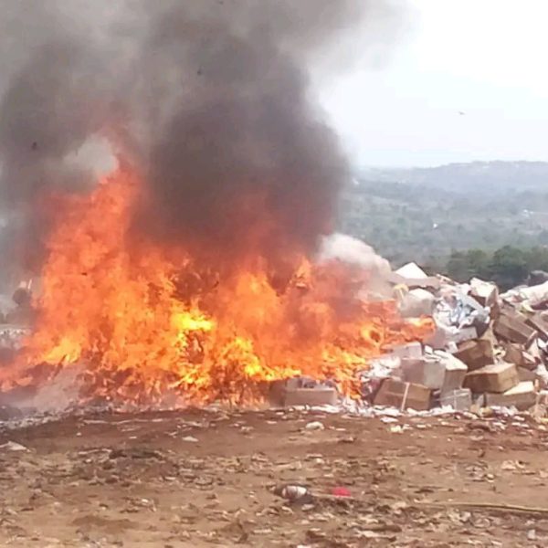 NAFDAC destroys fake drugs worth over N1 trillion