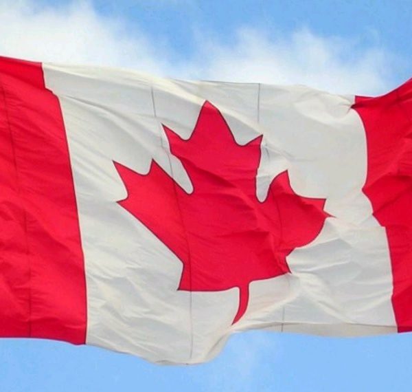 Canada’s immigration backlog: Progress or hidden crisis?